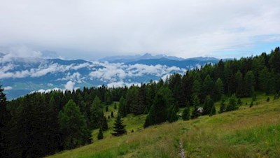 Durch Heidehänge auf den Sambock