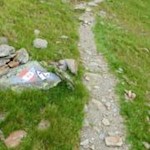 Sanft steigt der Wanderweg zur Rossalm ab