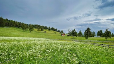 Auf dem idyllischen Salten