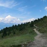 Entlang der Waldgrenze zur Ochsenalm