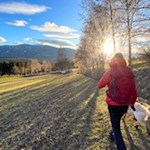 Escursione con il cane sul sentiero panoramico di Falzes