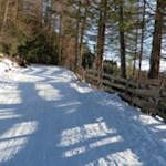 Der Winterweg zur Prantneralm ist gut gebahnt