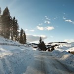 Die linde Wintersonne bringt die Natur zum Leuchten