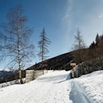Die Rodelbahn in Weißenbach ist gut gesichert