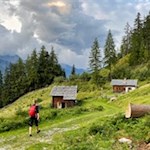 Die urige Schöllbergalm