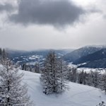 Die Rodelbahn Gitschberg führt durch eine idyllische Winterlandschaft
