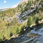 Gradualmente la foresta si dirada....