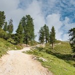 Die letzten Anstiegsmeter zur Rossalm