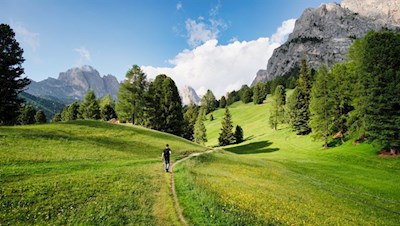 Durch die malerischen Almwiesen zum Lech Sant