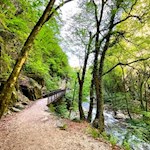 Sanft zieht sich die Gaulpromenade durch die Gaulschlucht 