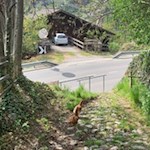 Von Gufidaun steigt der Weg Nr. 7 nach Klausen ab