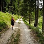 Der breite Wanderweg Nr. 15 führt im angenehmen Anstieg durch den Wald
