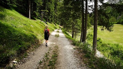 Der breite Wanderweg Nr. 15 führt im angenehmen Anstieg durch den Wald
