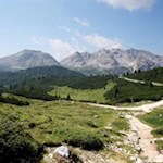 Vom breiten Wanderweg zweigen Abkürzungen zur Senneshütte ab