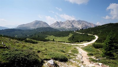 Vom breiten Wanderweg zweigen Abkürzungen zur Senneshütte ab