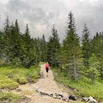 In leggera salita attraverso il bosco fino alla malga Casnago