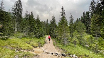 In the gentle ascent through the forest to Casnago mountain hut