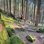 Auf dem Waldweg Nr. 8 zur Schafstallhütte