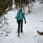 Auf den etwas steileren Waldpfaden gelangt man schneller ans Ziel