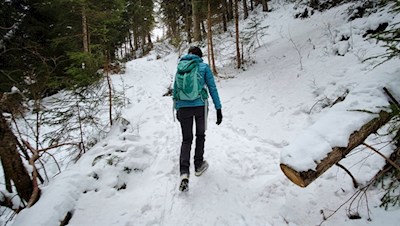 Auf den etwas steileren Waldpfaden gelangt man schneller ans Ziel
