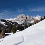 Im Hintergrund ragen die Geislerspitzen in die Höhe