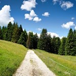 Durch Wald und Wiesen zur Laranzer Schwaige