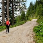 Im angenehmen Anstieg zur Göma Hütte
