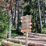 Den Weg zur Tuffalm kann man nicht verfehlen