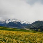 "Der alte Winter, in seiner Schwäche, zog sich in rauhe Berge zurück" (Goethe)