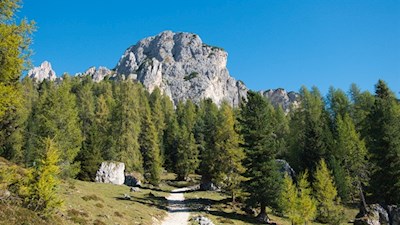 Durch eine malerische Landschaft zur Città di Carpi