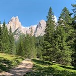 Durch das idyllische Tschamintal zum Tierser Alpl