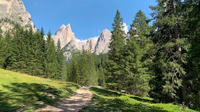 Durch das idyllische Tschamintal zum Tierser Alpl