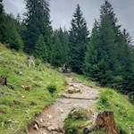 Gently ascends the path to Dusler Alm mountain hut
