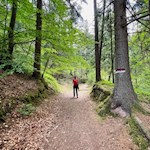 Sanft steigt der Weg zum Gasthaus Tomanegger an
