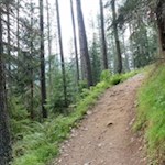 Durch den schattigen Wald zur Kasseler Hütte