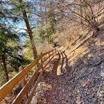 Durch den Wald zur Burg Sprechenstein