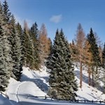 Nahe dem Quellgebiet des Eisack