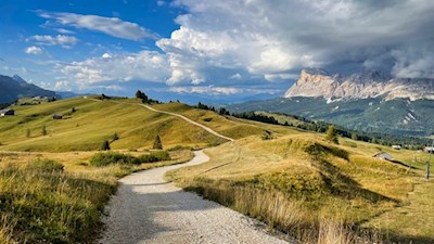 Sanft zieht sich der Wanderweg durch die malerischen Wiesen zur Pralongia Hütte