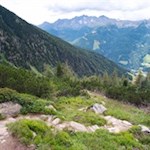 Ein liebevoll angelegter Plattenweg schlängelt sich von der Rußbachalm zur Kegelgasslalm