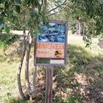 Der Weg zur Brunnerwiesen Alm ist bestens ausgeschildert