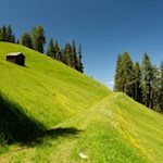 Über idyllische Wiesen zurück zum Furkelpass