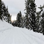 Die Rodelbahn Würzjoch verspricht ein winterliches Vergnügen für die ganze Familie