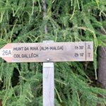 Der Anstieg zur Welschellener Alm ist mit 1h30' ausgeschildert