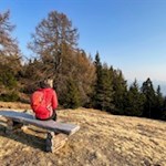 Aussichtsbank auf dem Rückweg nach Tann