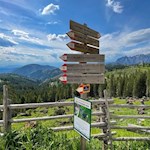 Die Wanderung zur Heinzenalm ist mit 20 Minuten ausgeschildert