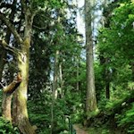 Auf dem Carl-Toldt-Weg