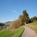 Die Wanderung von Seis nach St. Konstantin eignet sich bestens für Ausflüge mit der ganzen Familie