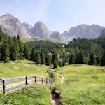 Hinter der Regensburger Hütte schlängelt sich der Weg Nr. 2 durch eine malerische Wiese