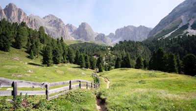 Hinter der Regensburger Hütte schlängelt sich der Weg Nr. 2 durch eine malerische Wiese