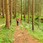 Auf dem Waldweg zurück nach Lüsen